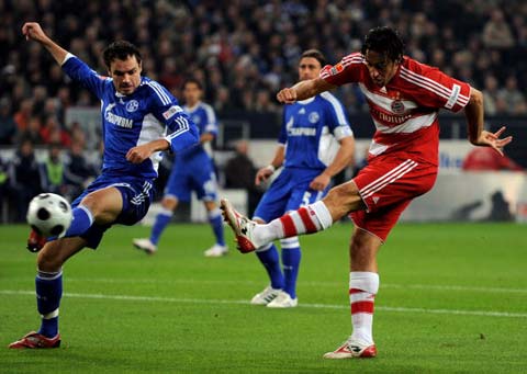 发生了质的 发生了质的